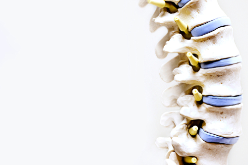 Foods That Are Good for Spinal Health