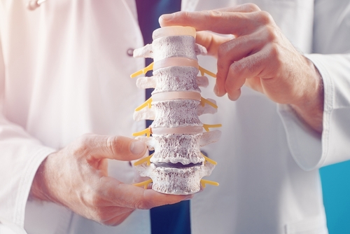 Comprehensive Guide to Spine Chiropractic