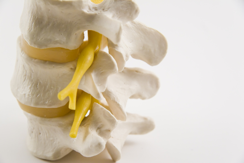 Workplace Hazards to Prevent Occupational Back Injuries 